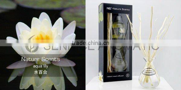 NS Nature Scents 160ml with vase Natural Diffuser Gift Set