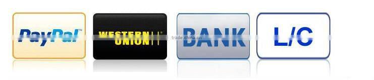 12W Edison RGB color led spike light 2 years warranty