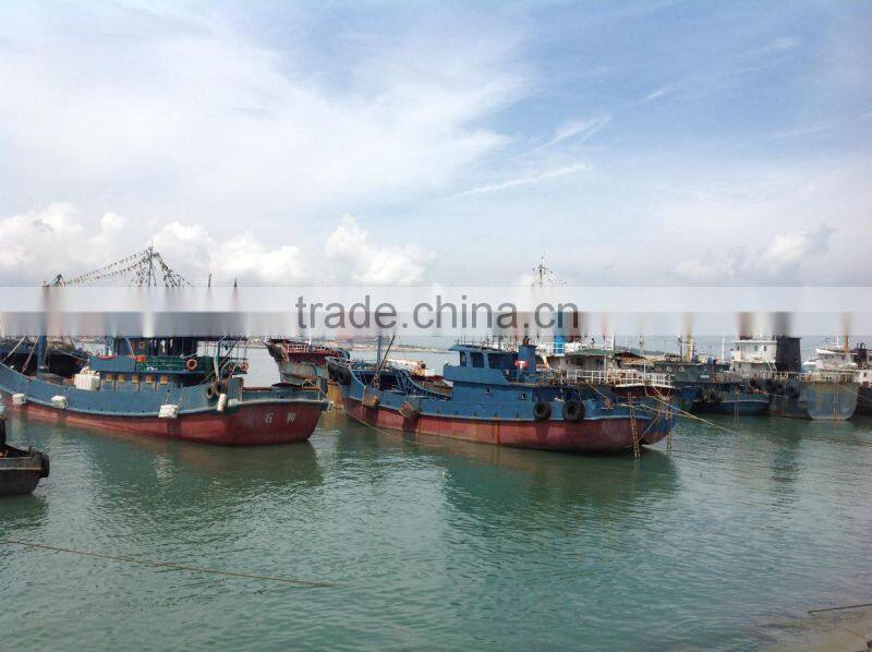 New fishing frozen IQF 60-70g pacific mackerel in 2016