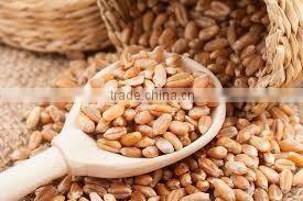 wheat cutting machines