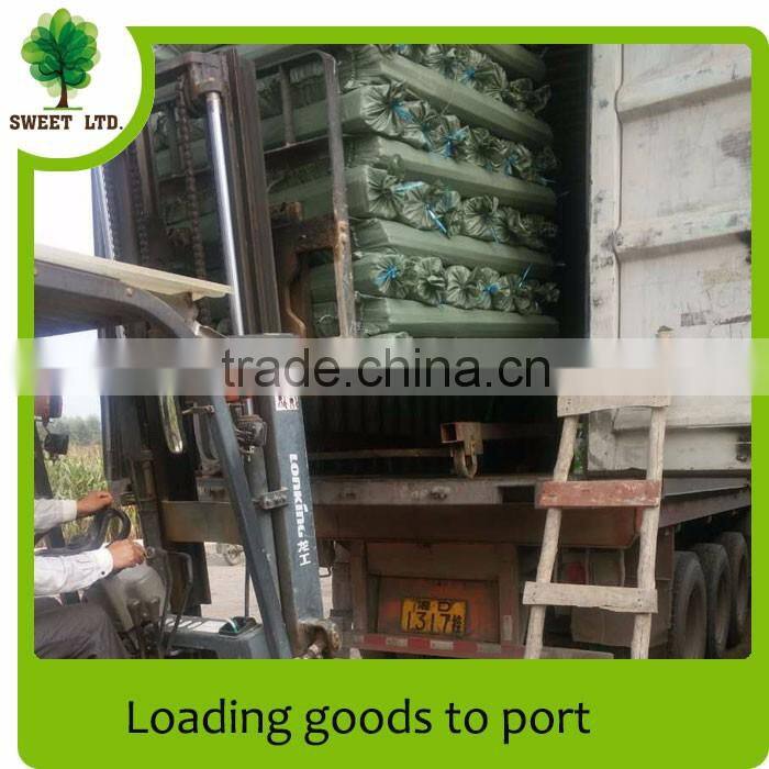 Housekeeping materials wooden broom handle with high quality