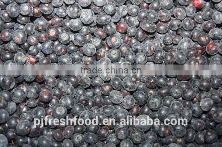 2015 IQF Frozen Blueberry Frozen Fruit Supplier