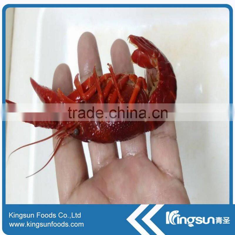 Best supplier Frozen water cooked crayfish / crawfish