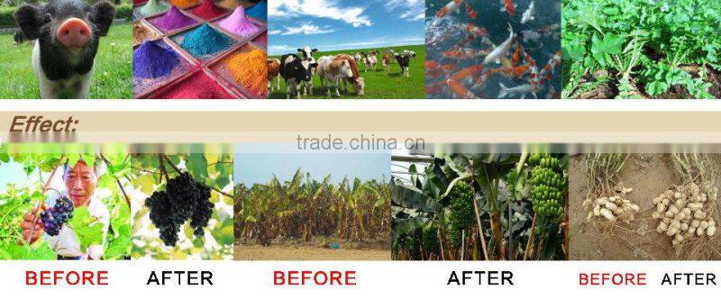 High Quality Sodium Humate Granule with 100% water solubility