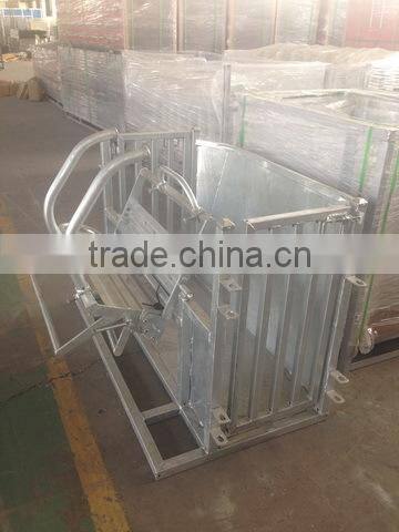 Sheep livestock farming equipment