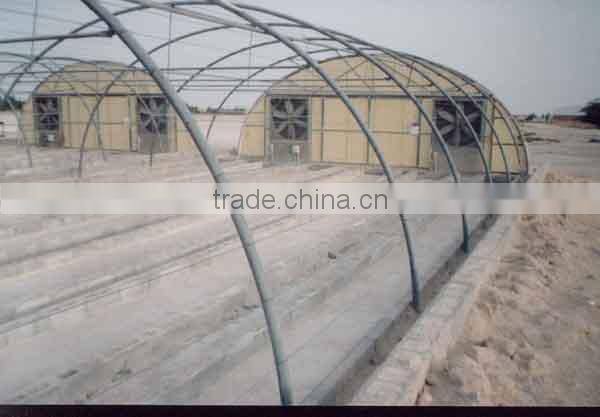 Light trap for greenhouse