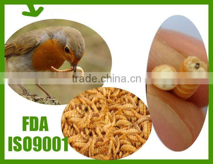 canary bird feed with Long Service Life