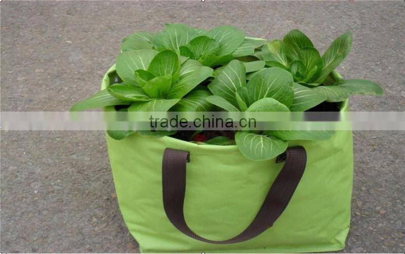 High quality Green PE Vegetable Planter