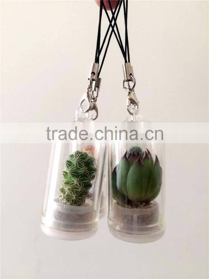 Wholesale Factory Cheap Glass Potted Meaty Cactus Plant Keychain, Super Mini Personal Gift Decorative Keychain Plant Design