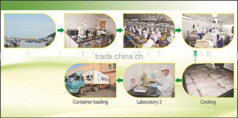 New Coming Products Frozen Yellowfin Tuna Loin