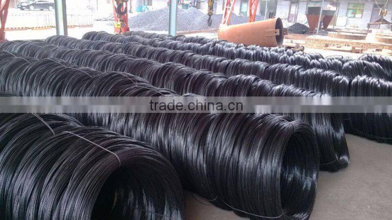 BWG 18 double wire twisted black annealed wire