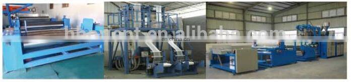 Hotel PE Transparent Shower Cap free size for single use