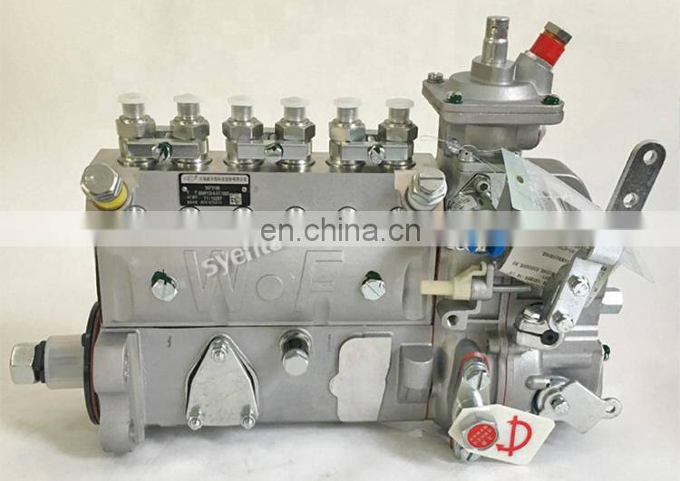 6AW163 Weifu Fuel Injection Pump 3971475 for 6BTA5.9