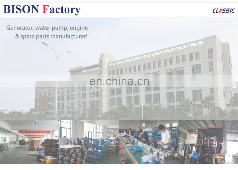 Concrete Vibrator with Gasoline Engine, Engine Concrete Vibrator Price Concrete Vibrate Hose