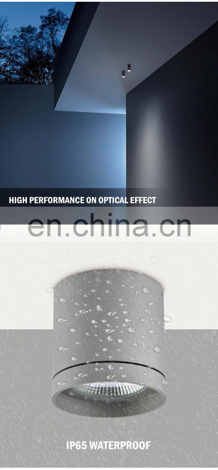 Round IP65 Waterproof Aluminum Ceiling Surface Mounted Ceiling 30W 36W 42W Led Down Light
