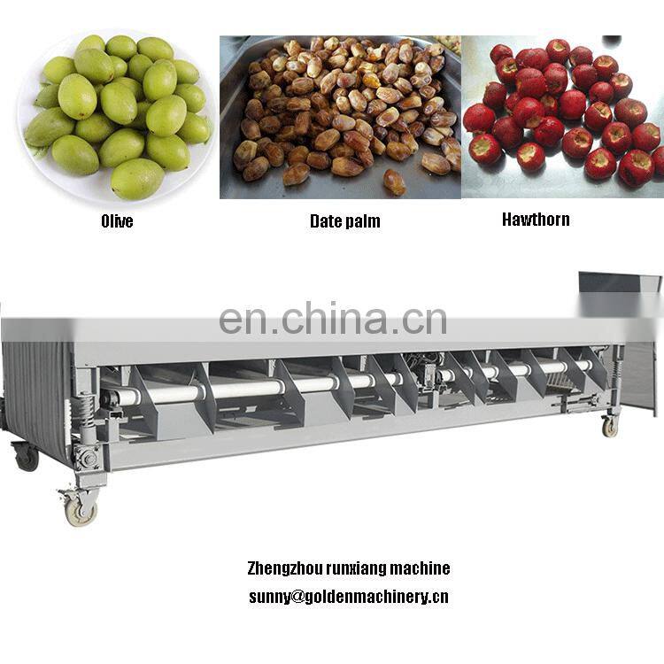 GJFJ900 Potato tomato grape Date palm Olive orange Hawthorn Silicone grading machine