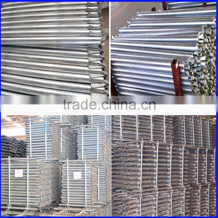 New Arrival !!! Sales Promotion !!! Q235 galvanized Ringlock scaffolding system for sale