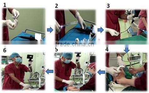 Little animal gastroscope bronchoscope3.8mm portable flexible reusable video veterinary endoscope