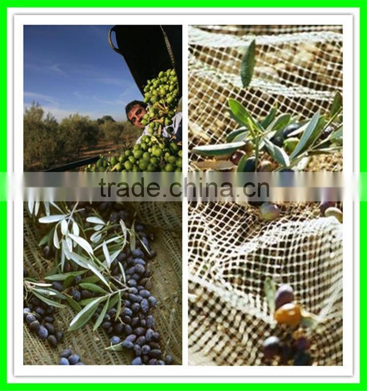 2016 100% virgin HDPE/PE UV added long life span plastic olive harvest nets/olive collection net