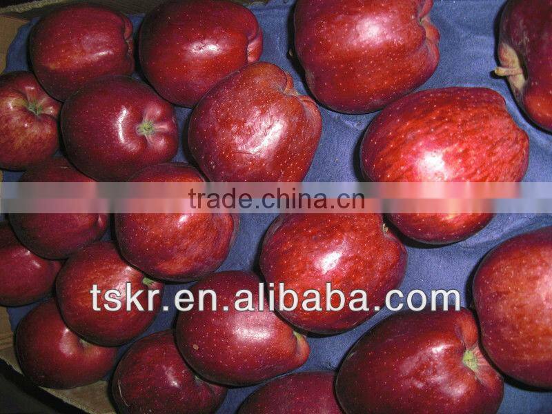 2013fresh appls from china