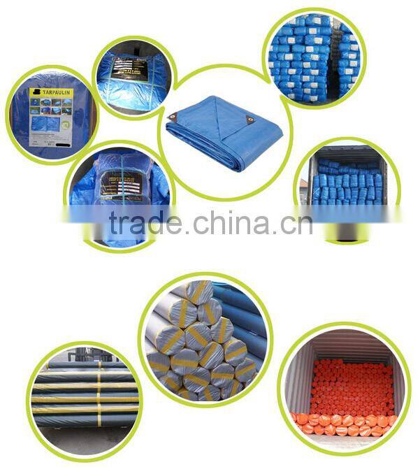 50gsm cheap pp tarpaulin export to pakistan