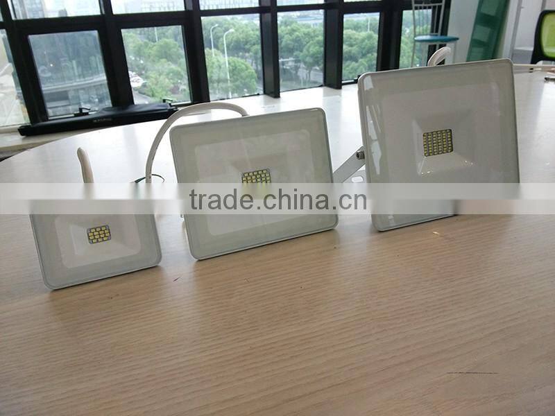 IP65 Waterproof Aluminum PF0.9 Ra80 1600LM 20W LED Floodlight