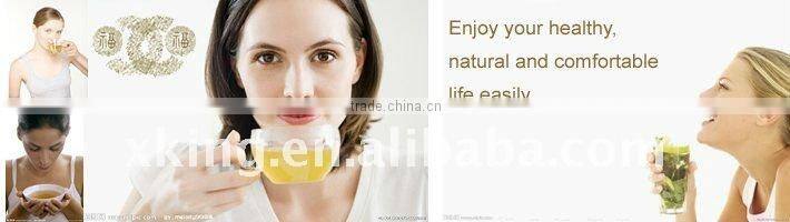 glass coffee cup maker with stainless steel handle