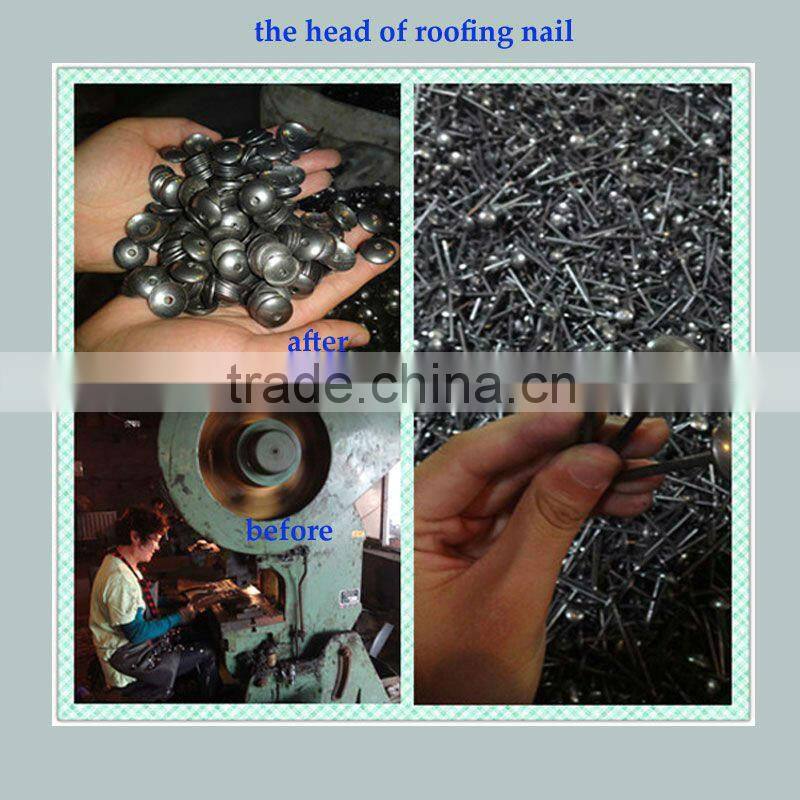 9 bwg eletro galvanized roofing nail with umbrella head