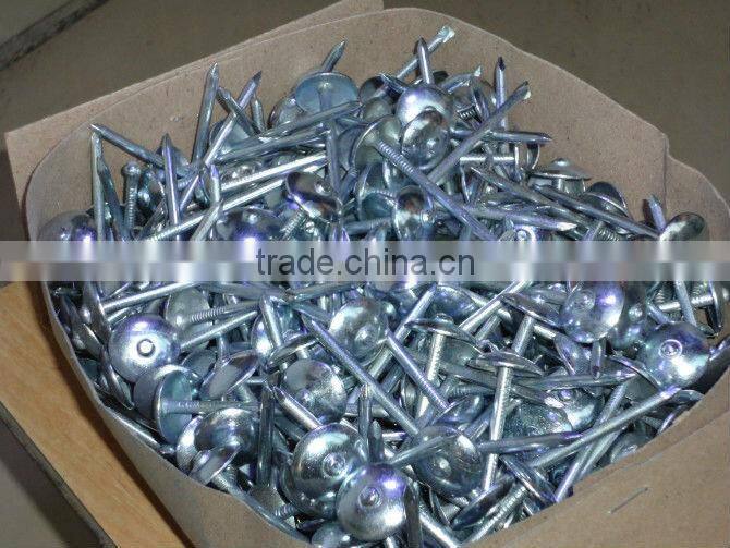 galvanized roofing nails with twisted shank
