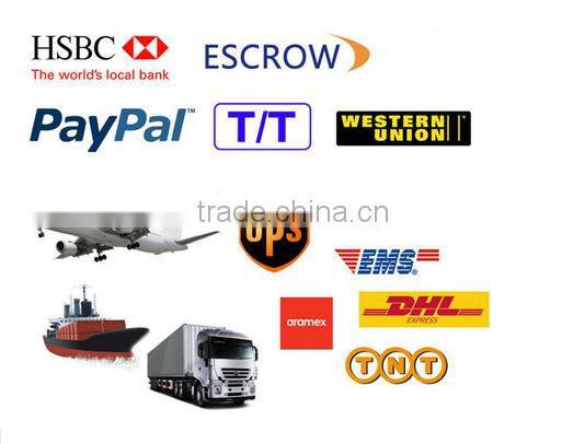 newest electric skateboard/1 wheel hoverboard /one wheel scooter with CE