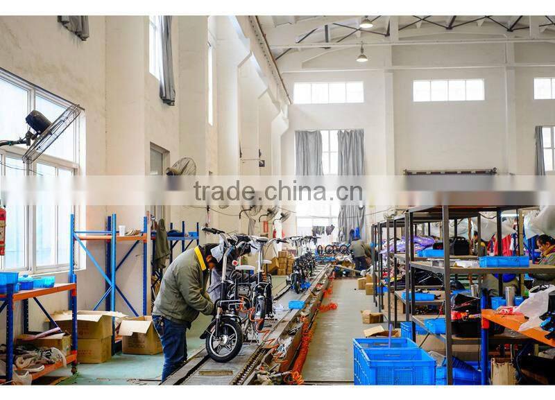 city bike lithium 36v 250w ebike battery