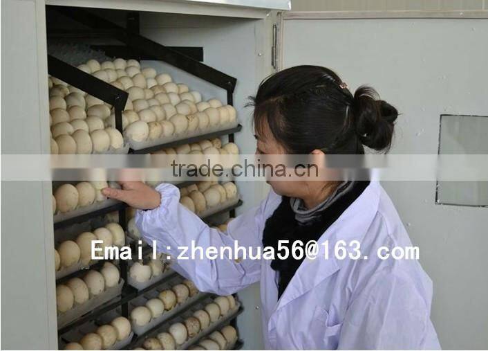 egg incubator spare parts/with seperate setter and hatcher for 480pcs/egg incubator/factory incubatioin