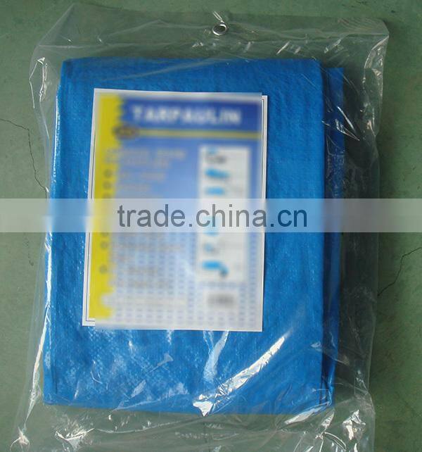 Hot sale PE tarpaulin