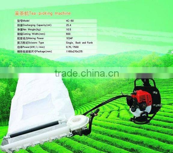 Gasoline Tea Plucker