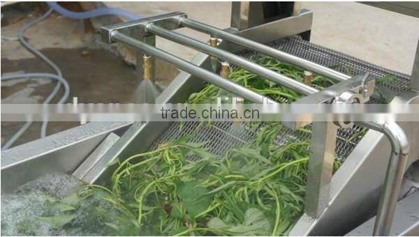 fruits & vegetable cleaning machine