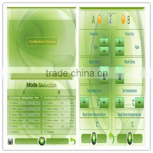 2 Handles work together!!!!! fat freezing slimming portable beauty cryolipolysis machines