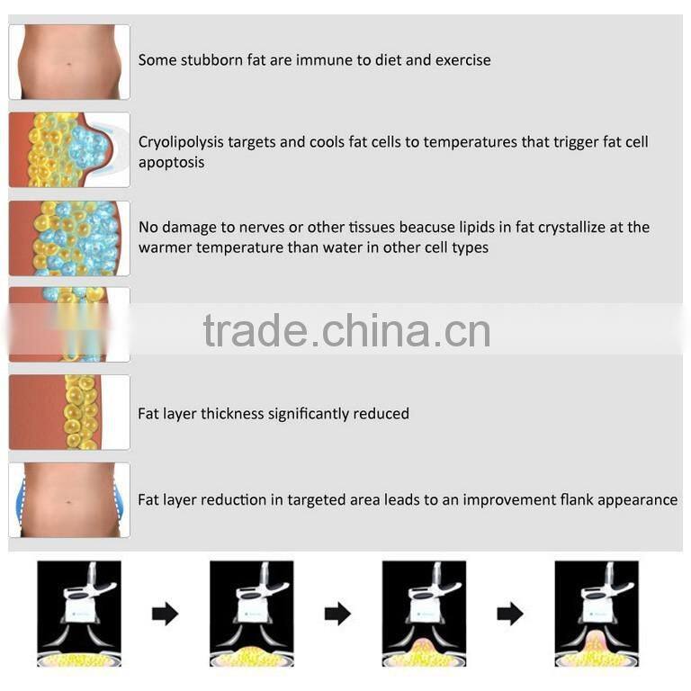 CE Certificated skin protection antifreeze membrane for lipo cryo machine Double Cryolipolysis in alibaba