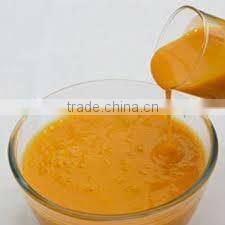 fresh mango pulp exporter in india