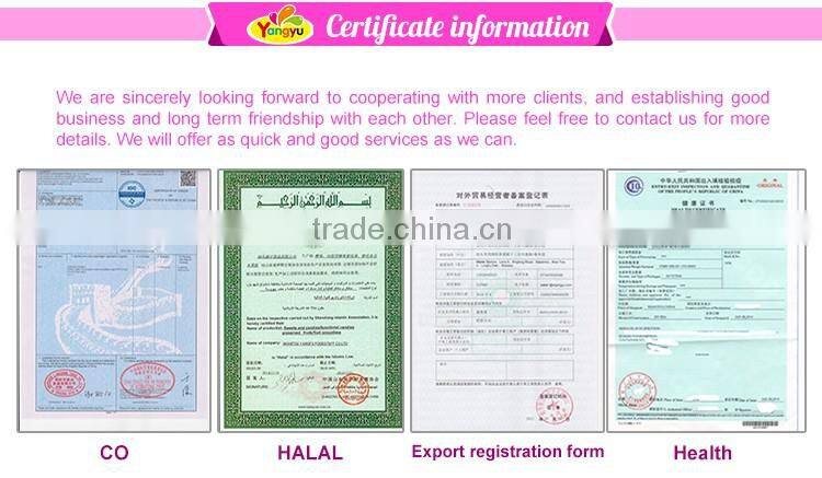 Sweet Oatmeal cereal wholesale chocolate bar