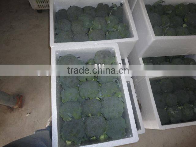 Chinese Fresh Green Broccoli