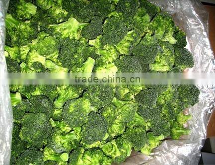Frozen Broccoli Exporter