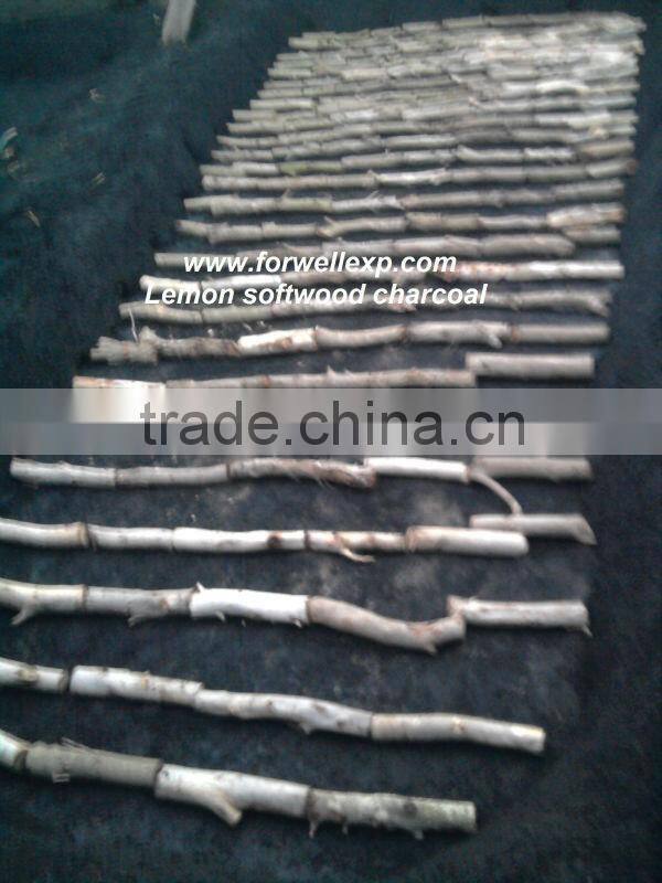 FRUIT TREES SOFTWOOD CHARCOAL