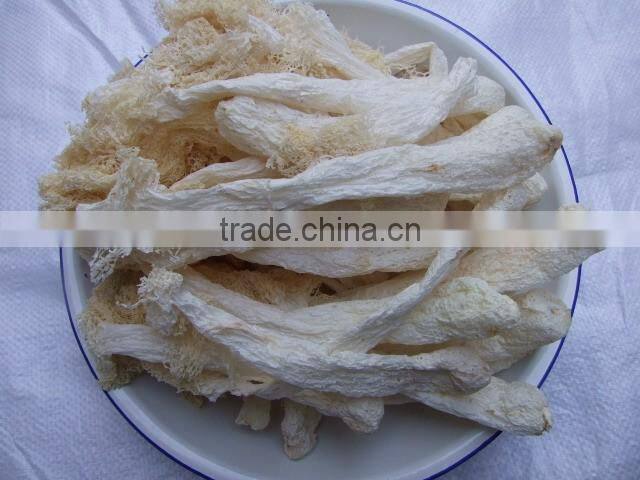 Chinese Mushroom Dried Cultivated Dictyophora