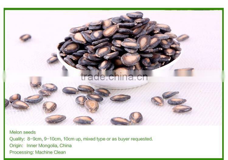 buy big siz BLACK MELON SEEDS