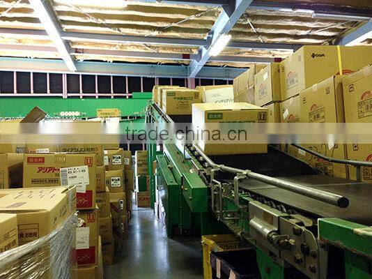 Cute and Unique plant pot Flower pot for For foliage OEM available