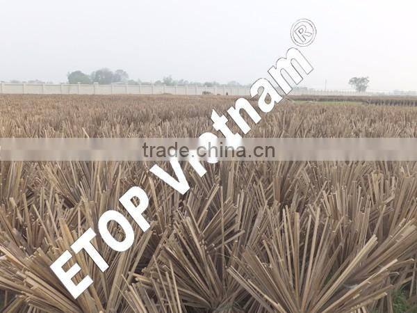 Cheap price Bamboo sticks for agarbatti(Whatsapp+84973403073)