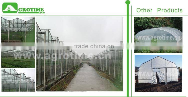 Multi Span Glass Greenhouse for Tomato Production