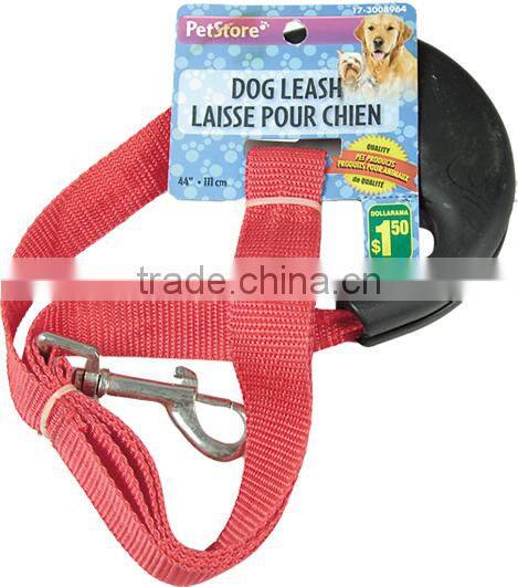 dog collar and leash