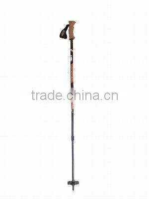 custom walking stick 52248