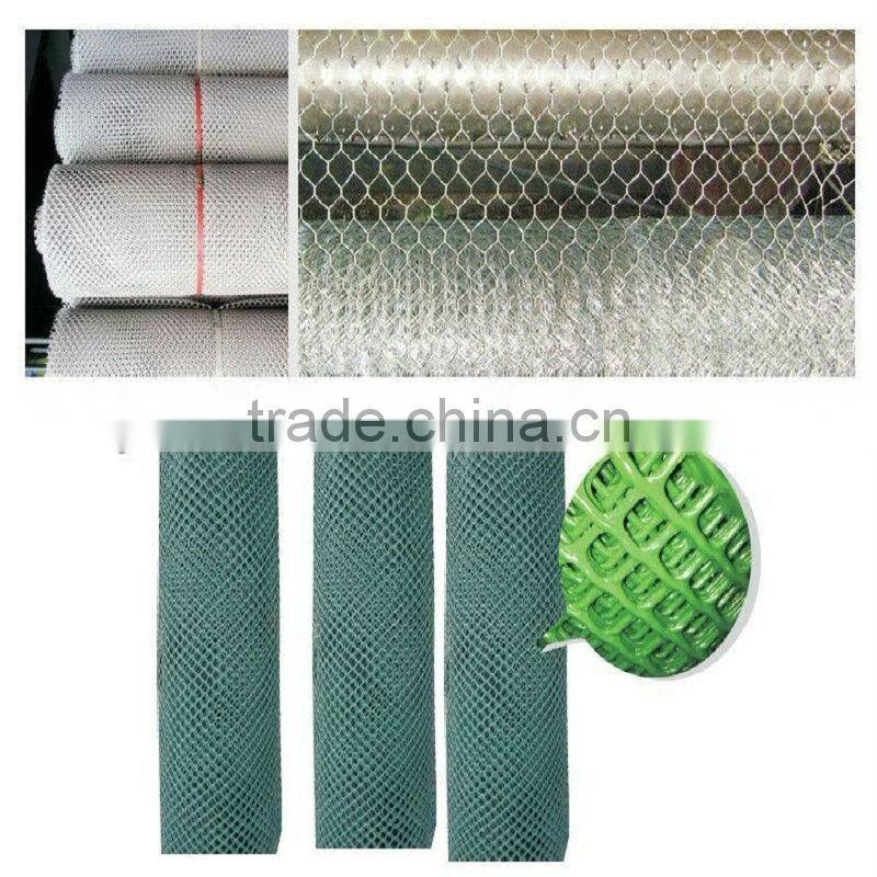 Galvanized Electric Welded Wire Mesh/Welded Netting